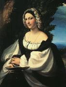 Correggio Portrait of a Gentlewoman oil