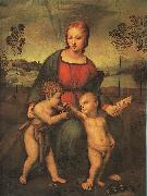 Raphael Madonna of the Goldfinch oil painting