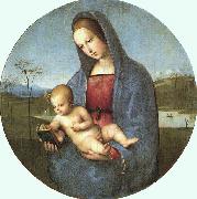 Raphael Conestabile Madonna oil painting