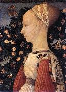 PISANELLO Portrait of a Princess of the House of Este  vhh oil painting on canvas
