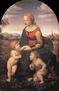 Raphael The Virgin and Child with the infant Saint John the Baptist oil