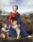 Raphael The Madonna in the Meadow Sweden oil painting artist