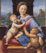 Raphael The Madonna and Child with teh Infant Baptist oil painting picture wholesale
