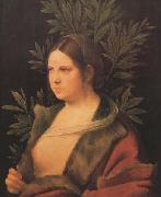 Giorgione Laura (MK45) painting