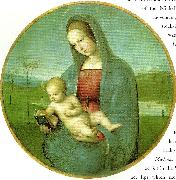 Raphael madonna conestabile oil painting