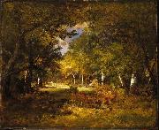 Brooklyn Forest Scene oil painting on canvas