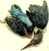 J.M.W.Turner kingfisher Sweden oil painting artist