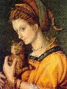 BACCHIACCA Portrait de jeune femme tenant un chat oil painting on canvas