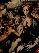 PARMIGIANINO Thronende Madonna, Hl. Zacharias, Hl. Johannes der Taufer und Hl. Maria Magdalena Sweden oil painting artist