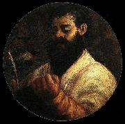 Titian St Mark Sweden oil painting artist