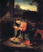 Correggio Madonna worshipping the Child Sweden oil painting artist