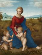 Raphael Madonna of the Meadows (mk08) oil painting reproduction