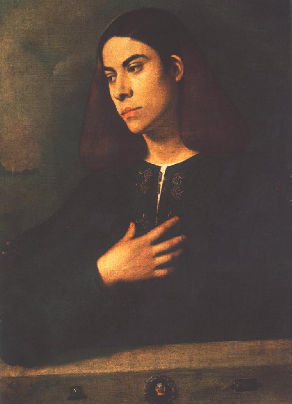 Giorgione Portrait of a Youth (Antonio Broccardo) dsdg Sweden oil painting art