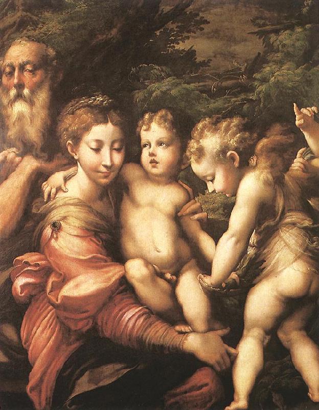 PARMIGIANINO Rest on the Flight to Egypt ag Sweden oil painting art