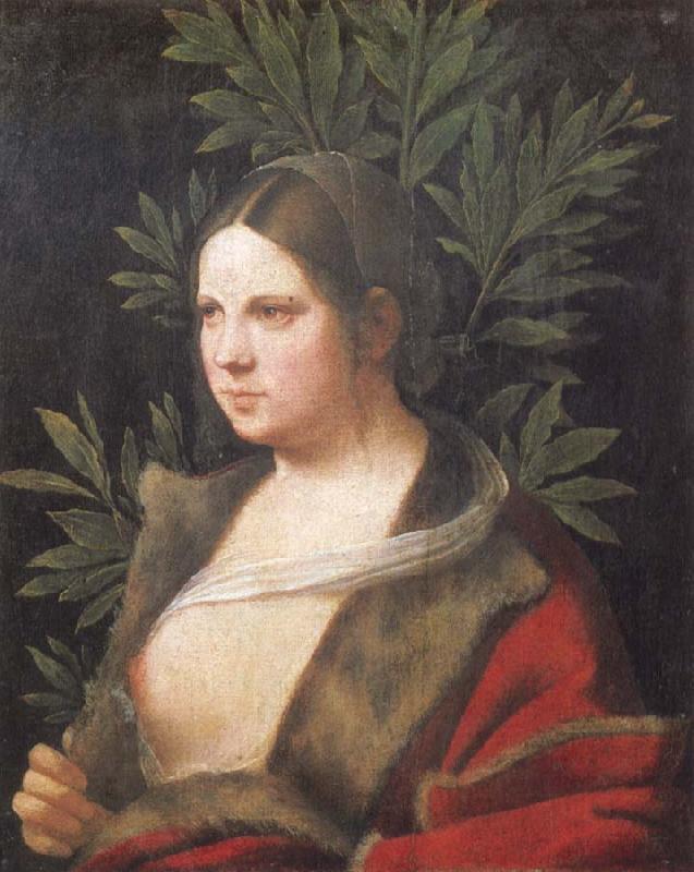 Giorgione Portrait of a young woman Sweden oil painting art
