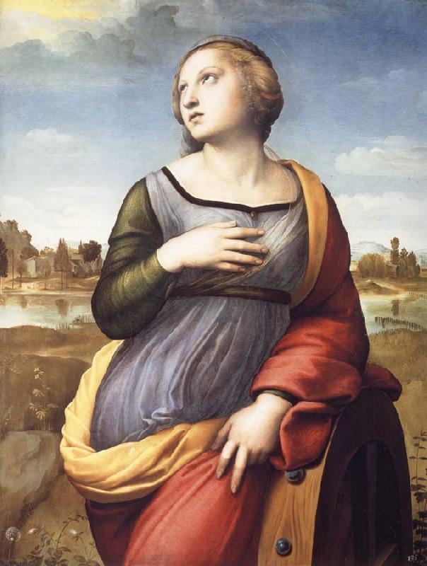 Raphael Saint Catherine of Alexandria Sweden oil painting art