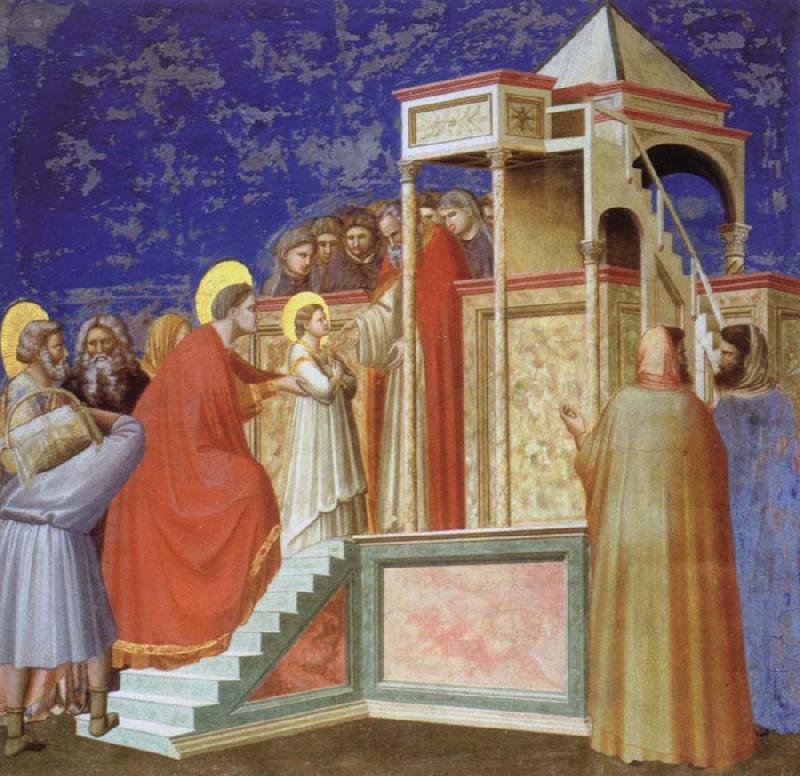 Giotto Presentation of the VIrgin ar the Temple Sweden oil painting art