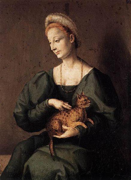 BACCHIACCA Woman with a Cat oil painting picture
