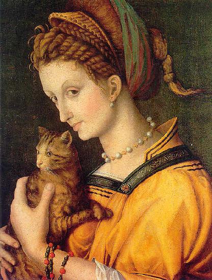 BACCHIACCA Portrait de jeune femme tenant un chat oil painting image