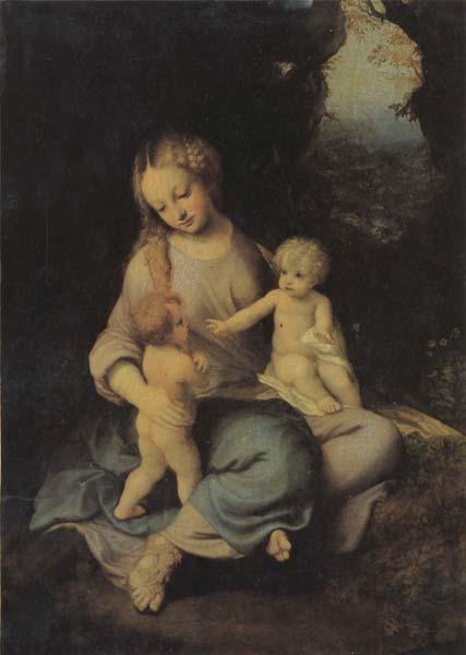 Correggio Madonna and Child oil painting image