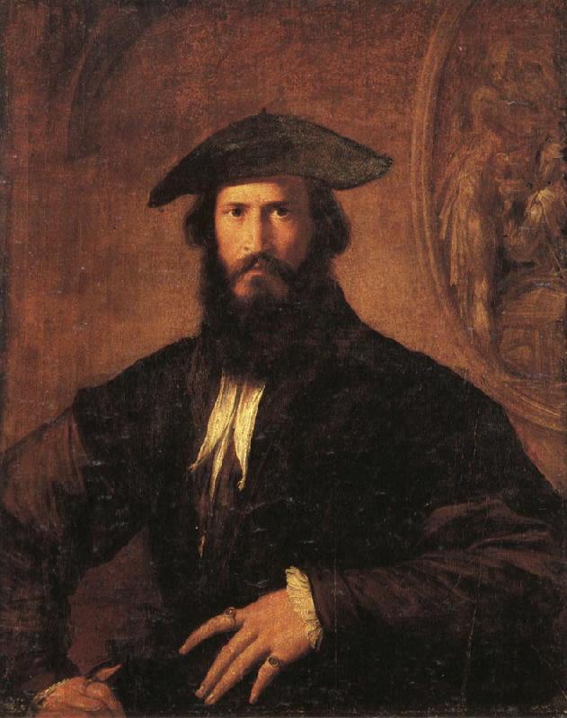 PARMIGIANINO Portrait of a Man Sweden oil painting art