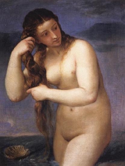 Titian Venus Anadyomenes Sweden oil painting art