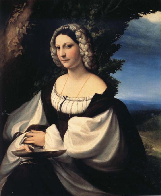 Correggio Portrait of a Gentlewoman Sweden oil painting art