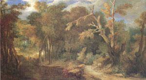 Largillierre Wooded Landscape (mk05) oil painting picture