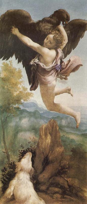 Correggio The Abduction of Ganymede Sweden oil painting art