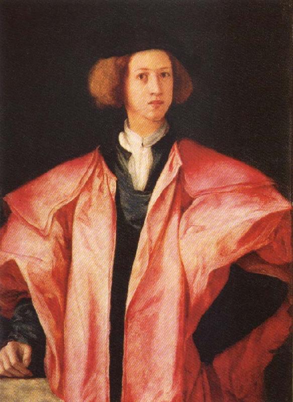 Pontormo Portrait of a young Man Sweden oil painting art